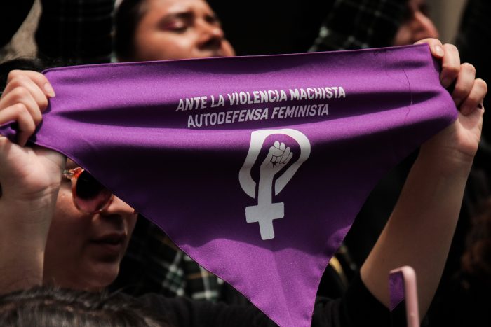 Asamblea Feminista Plurinacional cuestiona acciones tomadas por el Gobierno ante el coronavirus y pide aplazar el plebiscito Asamblea Feminista Plurinacional cuestiona acciones tomadas por el Gobierno ante el coronavirus y pide aplazar el plebiscito
