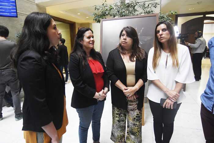 Diputados de oposición llevan la ley antisaqueos al TC: consideran que “vulnera el derecho a manifestarse libremente” Diputados de oposición llevan la ley antisaqueos al TC: consideran que