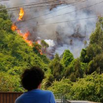 Incendios forestales: Onemi mantiene alerta roja en Chiguayante y la extiende a Hualqui, Santa Juana y Curanilahue