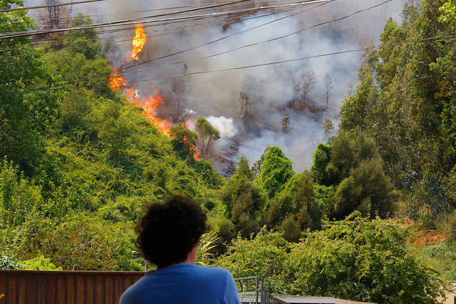 Incendios forestales: Onemi mantiene alerta roja en Chiguayante y la extiende a Hualqui, Santa Juana y Curanilahue Incendios forestales: Onemi mantiene alerta roja en Chiguayante y la extiende a Hualqui, Santa Juana y Curanilahue