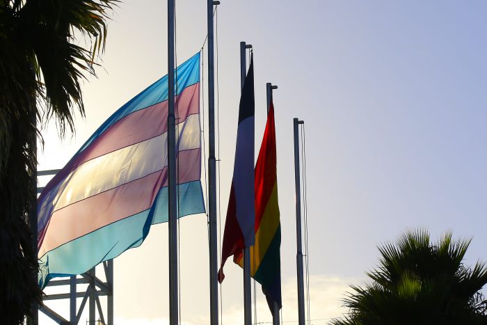 Colectivos LGBTI de América Latina debatieron en un foro online sobre la agenda legislativa y democracia Colectivos LGBTI de América Latina debatieron en un foro online sobre la agenda legislativa y democracia
