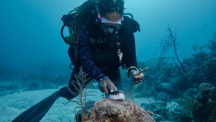Chilenos podrán postular a un tiempo sabático en Las Bahamas Chilenos podrán postular a un tiempo sabático en Las Bahamas