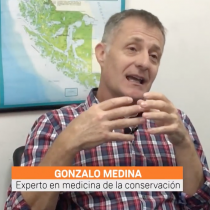 Homo Science: Gonzalo Medina-Vogel, médico de la conservación, y la gran pérdida de biodiversidad de la Patagonia