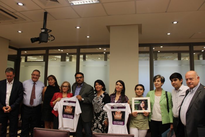 Aprueban en comisión proyecto de ley Gabriela y pasa a la sala del Senado Aprueban en comisión proyecto de ley Gabriela y pasa a la sala del Senado
