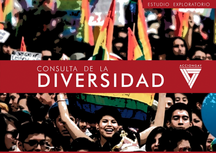 Consulta de la Diversidad:  98,7% de la comunidad LGTBIQ+ respalda una nueva Constitución