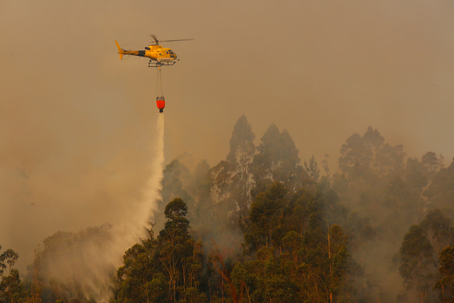 El denominado “Cartel del fuego” investigado en España, gana en Chile una importante licitación de la Conaf El denominado “Cartel del fuego” investigado en España, gana en Chile una importante licitación de la Conaf