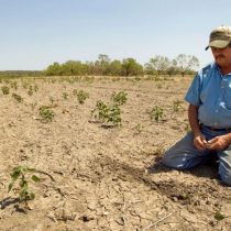 Crisis hídrica: crónica de una muerte anunciada y de por qué hay que rediseñar las áreas verdes