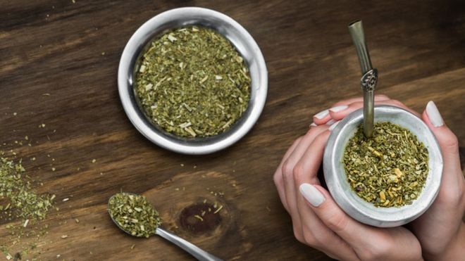 Yerba mate: cómo Siria se convirtió en el mayor comprador de este producto en el mundo Yerba mate: cómo Siria se convirtió en el mayor comprador de este producto en el mundo