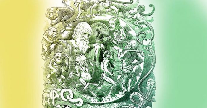 Las fascinantes revelaciones sobre la teoría de la evolución expuestas por los matemáticos Las fascinantes revelaciones sobre la teoría de la evolución expuestas por los matemáticos