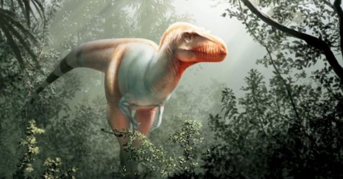 Cómo era el “Segador de la muerte”, una nueva especie de dinosaurio que vivió antes que el ‘Tyrannosaurus rex’ Cómo era el “Segador de la muerte”, una nueva especie de dinosaurio que vivió antes que el ‘Tyrannosaurus rex’