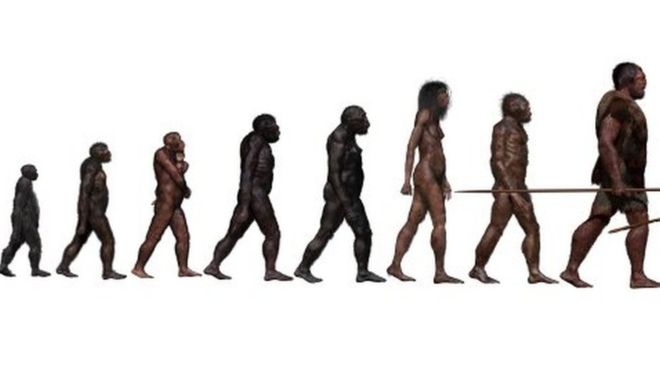 El misterioso ancestro “fantasma” de los humanos descubierto en África El misterioso ancestro “fantasma” de los humanos descubierto en África