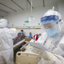 Derribando mitos: Coronavirus en China y murciélagos en Chile