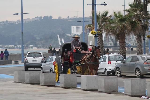 El fin de una tradición: victorias de Viña del Mar dejarán de circular desde marzo El fin de una tradición: victorias de Viña del Mar dejarán de circular desde marzo
