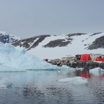 Aniversario de la base Yelcho, la perla de la ciencia marina antártica 