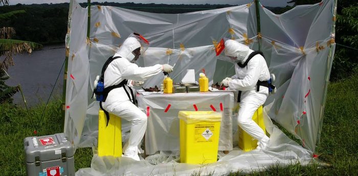 Así influyen los cambios medioambientales en la aparición de nuevas enfermedades Así influyen los cambios medioambientales en la aparición de nuevas enfermedades