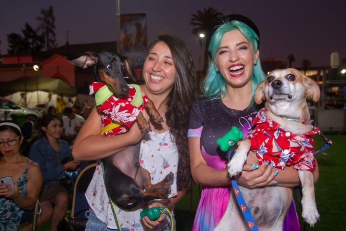 “El llamado salvaje”, la primera avant premiere para perros