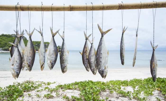 ¿Deberíamos dejar de comer pescado? ¿Deberíamos dejar de comer pescado?