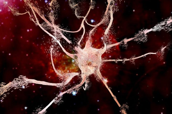 El límite entre la vida y la muerte en las neuronas