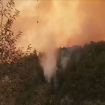 Conaf cierra Parque Nacional Radal Siete Tazas por incendio forestal en la zona