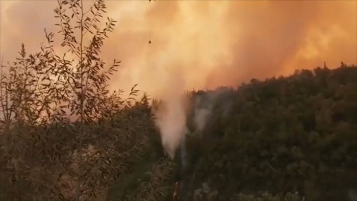 Conaf cierra Parque Nacional Radal Siete Tazas por incendio forestal en la zona Conaf cierra Parque Nacional Radal Siete Tazas por incendio forestal en la zona