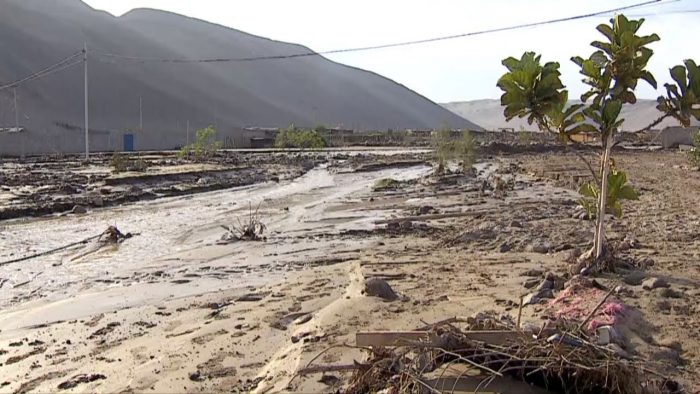 Lluvias en Arica obligan a evacuar a 60 personas que viven en un campamento Lluvias en Arica obligan a evacuar a 60 personas que viven en un campamento