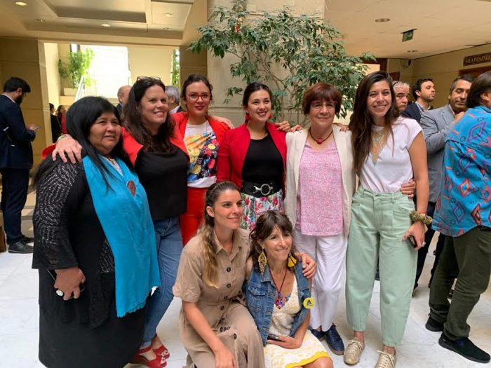 Diputada Cariola (PC) es ratificada por la oposición para asumir vicepresidencia de la Cámara Diputada Cariola (PC) es ratificada por la oposición para asumir vicepresidencia de la Cámara