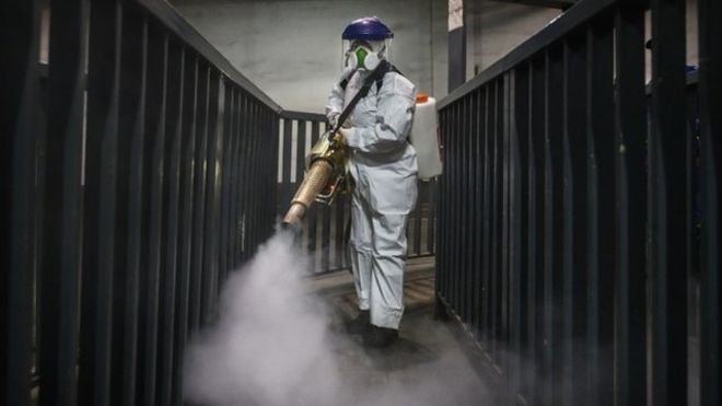 “Estamos encarando epidemias como el covid-19 de forma equivocada”: entrevista con el ecólogo de enfermedades Peter Daszak
