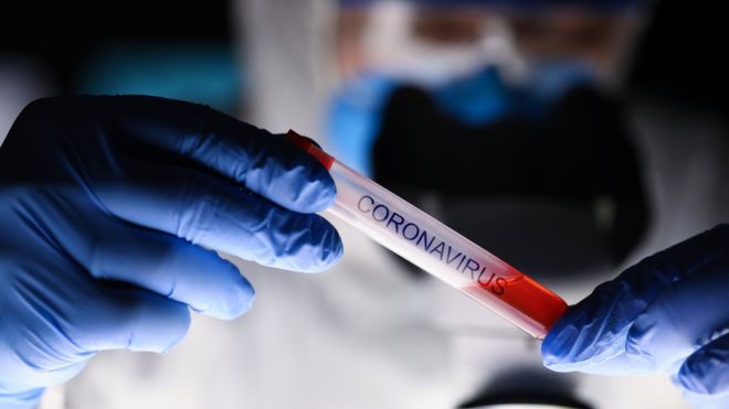 Qué se sabe sobre la mutación del Coronavirus (y qué significa esto para la lucha contra la pandemia) Qué se sabe sobre la mutación del Coronavirus (y qué significa esto para la lucha contra la pandemia)