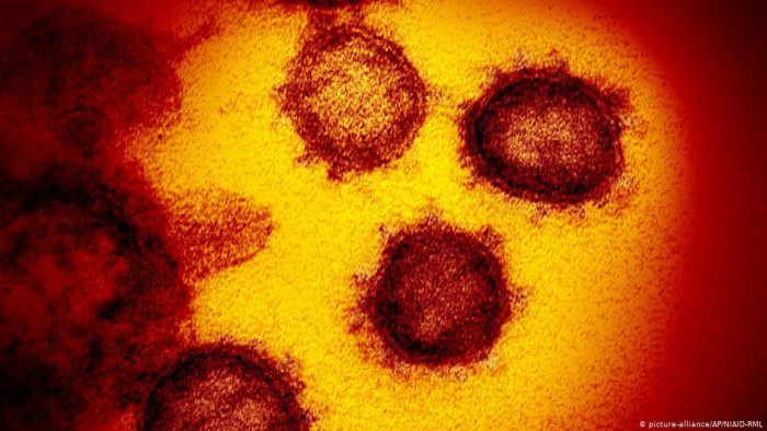 Covid-19: ¿Cuánto dura el proceso de incubación del coronavirus? Covid-19: ¿Cuánto dura el proceso de incubación del coronavirus?