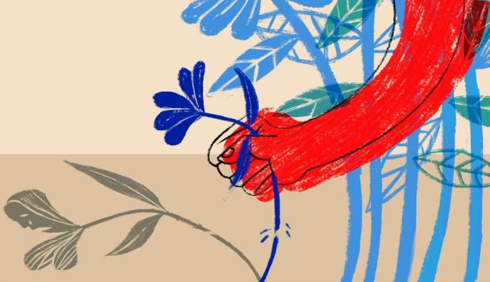 Maternidad forzada: embarazos en niñas y adolescentes muestran la otra cara de la violencia contra las mujeres en México Maternidad forzada: embarazos en niñas y adolescentes muestran la otra cara de la violencia contra las mujeres en México