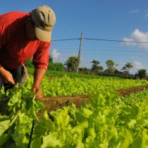 Los desafíos del nuevo Ministerio de Agricultura, Alimentos y Desarrollo Rural