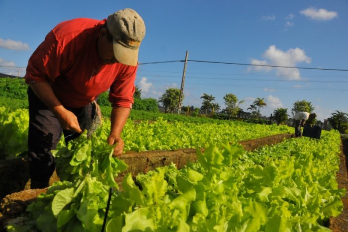 ¿Puede ser rentable una agricultura más sostenible? ¿Puede ser rentable una agricultura más sostenible?