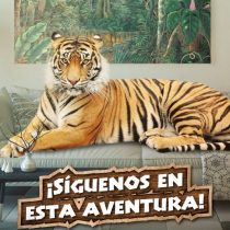Buin Zoo realiza webserie para mostrar el cuidado de los animales