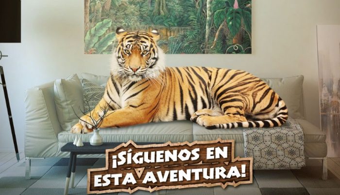 Buin Zoo realiza webserie para mostrar el cuidado de los animales Buin Zoo realiza webserie para mostrar el cuidado de los animales