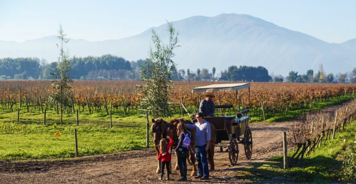 Vendimias 2020: la gran fiesta del vino que invita a vivir el enoturismo de Chile Vendimias 2020: la gran fiesta del vino que invita a vivir el enoturismo de Chile