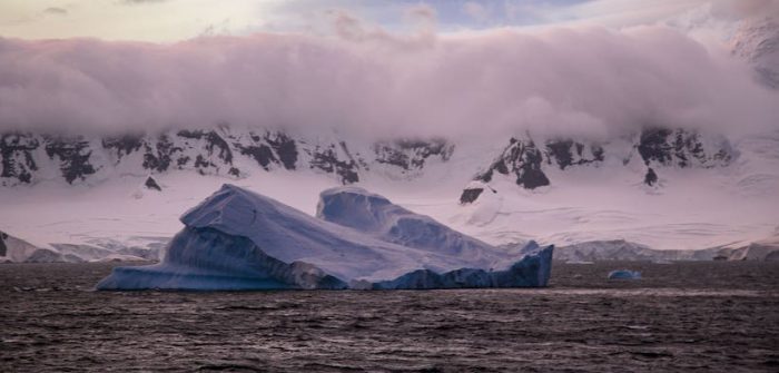 Realizan primera secuenciación masiva de DNA en animales muestras ambientales en Antártica