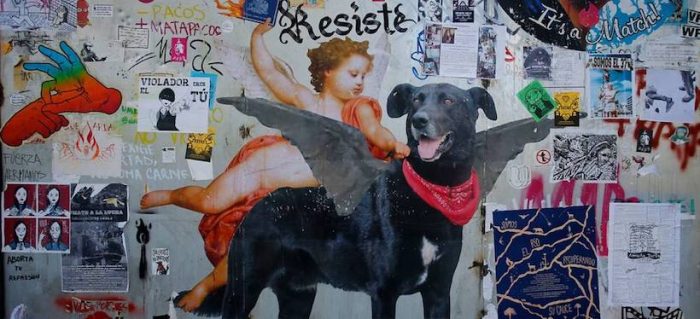 ¿Un proyecto justificado?: Ley Sticker, intentando extirpar el tumor indeseado del arte callejero