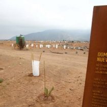 El complejo escenario que se prevé para Minera Dominga en el primer día de alegatos en Tribunal Ambiental de Antofagasta