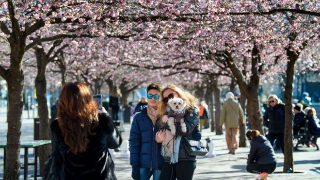 Coronavirus: la “arriesgada” apuesta de Suecia de luchar contra el covid-19 protegiendo la economía y la libertad ciudadana Coronavirus: la