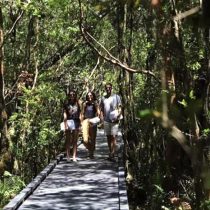 Abre el primer centro termal de Puelo: Termas del Sol