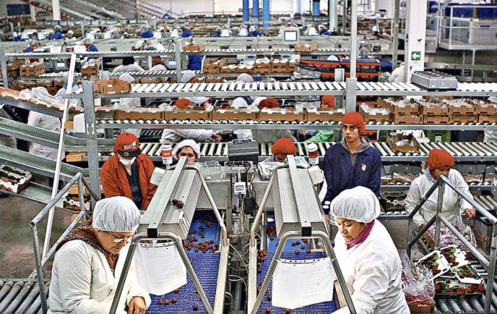 Crisis económica, empleo, los empresarios y el populismo en Chile Crisis económica, empleo, los empresarios y el populismo en Chile