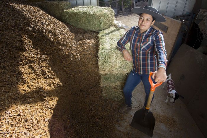 Pequeña ganadera de San Esteban enfrenta sequía con granja sustentable y dieta especial para sus animales Pequeña ganadera de San Esteban enfrenta sequía con granja sustentable y dieta especial para sus animales