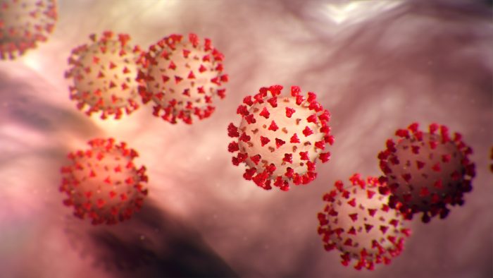 Coronavirus: el búho de Minerva emprende su vuelo Coronavirus: el búho de Minerva emprende su vuelo