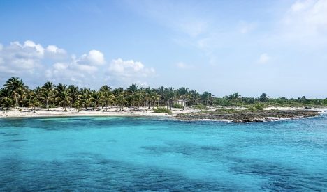 Avistan animales en riesgo de extinción en caribe mexicano vacío por coronavirus Avistan animales en riesgo de extinción en caribe mexicano vacío por coronavirus