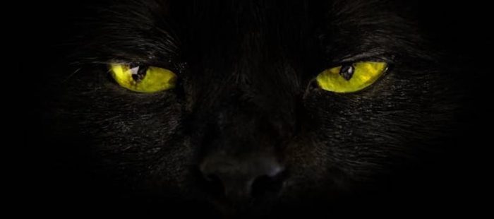 Viernes 13: Por qué somos supersticiosos (la explicación neurocientífica) Viernes 13: Por qué somos supersticiosos (la explicación neurocientífica)