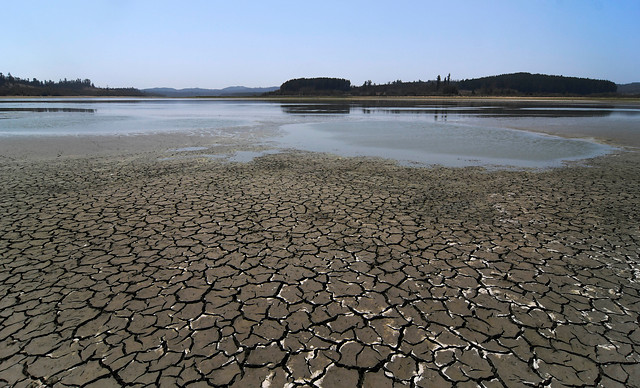Día Mundial del Agua: INDH expresa preocupación por suministro en zonas de crisis hídrica y avance del COVID-19 Día Mundial del Agua: INDH expresa preocupación por suministro en zonas de crisis hídrica y avance del COVID-19