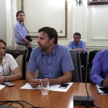 Alcaldesa de Peñalolén pide tomar medidas urgentes frente a la especulación: 