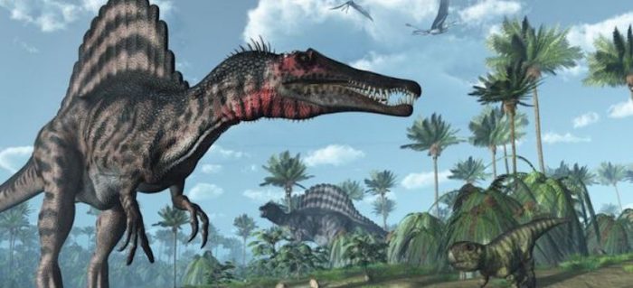 El único y “peligroso” lugar en el que convivieron 3 de los dinosaurios carnívoros más grandes que habitaron la Tierra El único y “peligroso” lugar en el que convivieron 3 de los dinosaurios carnívoros más grandes que habitaron la Tierra