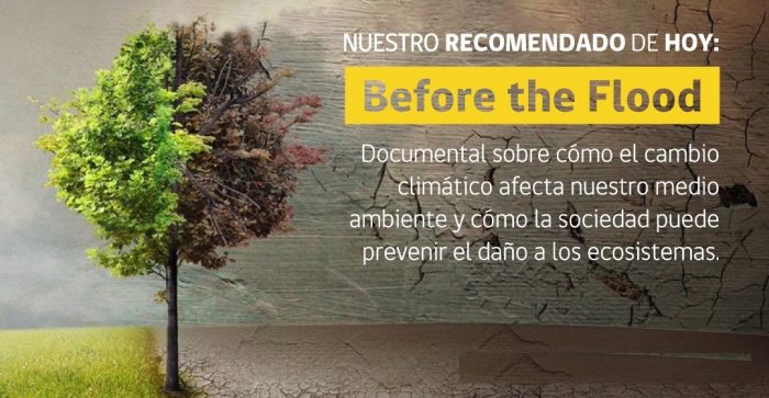 #MMAencasa, la campaña ambiental para tomar consciencia durante la cuarentena