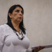 La polémica entre la ministra Rubilar y el senador Girardi por 